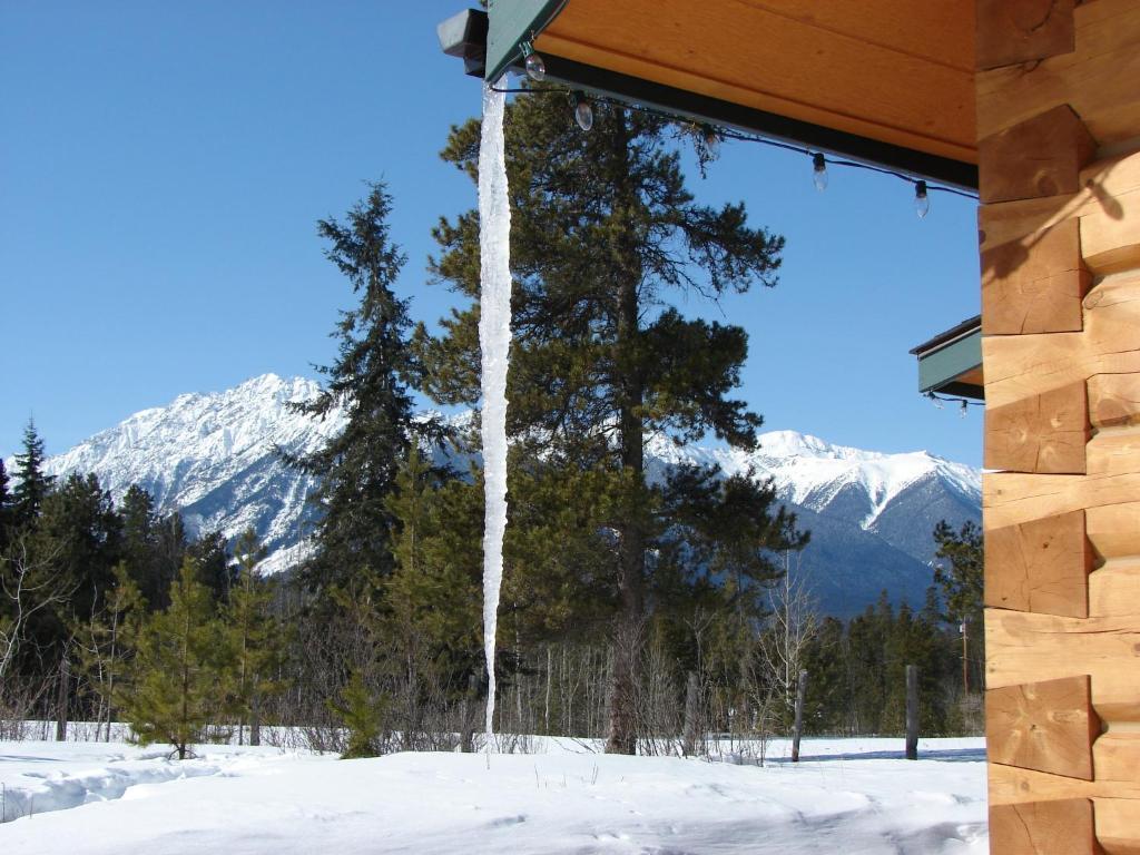 Mica Mountain Lodge & Log Cabins Tete Jaune Cache Room photo